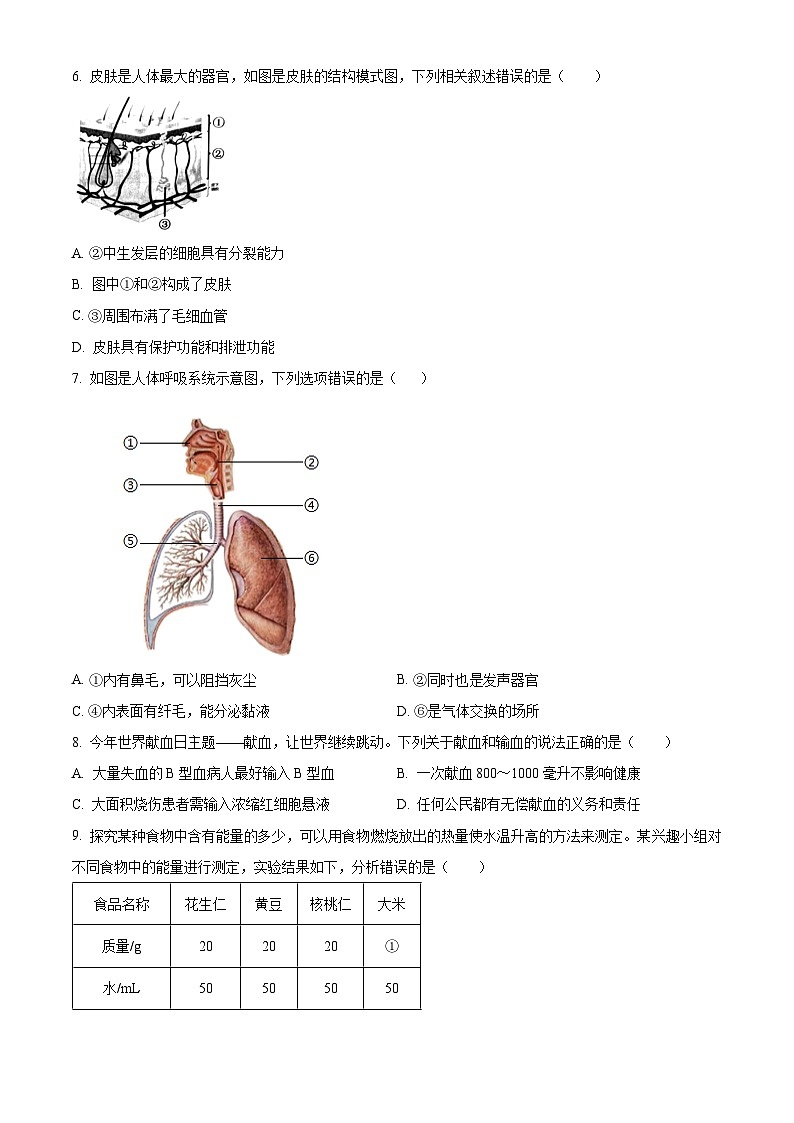 辽宁省本溪市2023-2024学年七年级下学期期中生物试题（原卷版）第2页