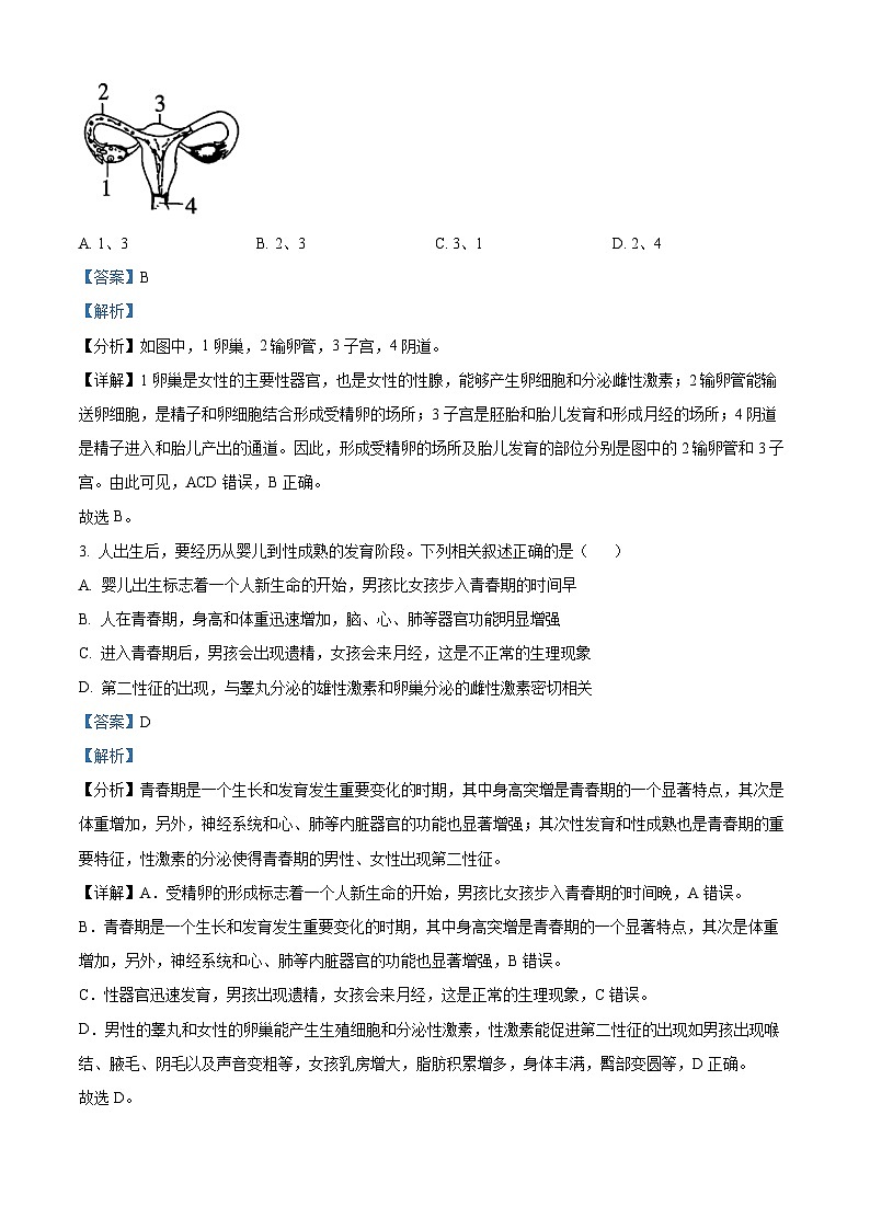 山西省运城市2023-2024学年七年级下学期期中生物试题（解析版）第2页