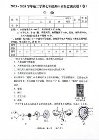 山西省吕梁市孝义市2023-2024学年七年级下学期4月期中生物试题