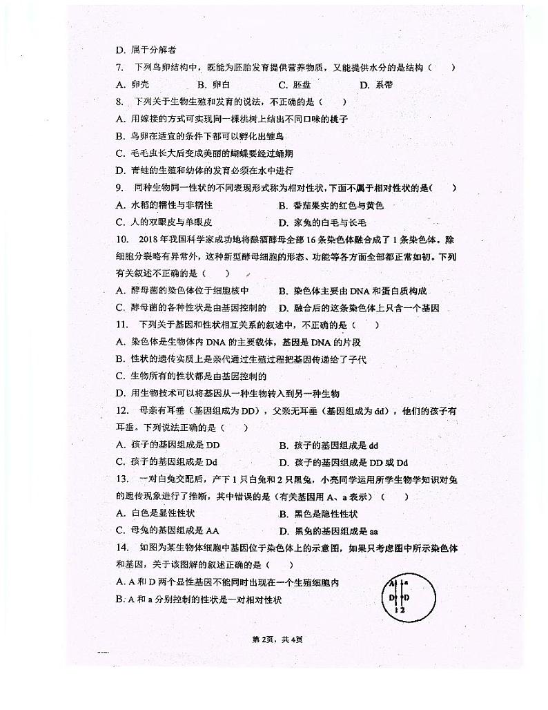 重庆市忠县花桥镇初级中学、马灌初级中学校2023-2024学年八年级下学期期中考试生物试题第2页