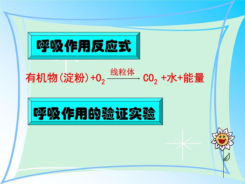 3.5.2呼吸作用课件2023--2024学年北师大版生物七年级上册04