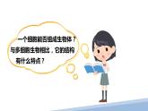 2.2.4单细胞生物课件2023--2024学年人教版生物七年级上册