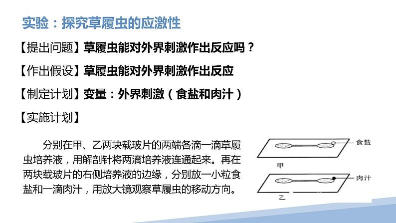 2.2.4单细胞生物课件2023--2024学年人教版生物七年级上册第8页