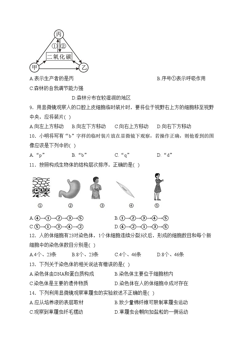 吉林省四平市双辽市2023-2024学年七年级上学期期中考试生物试卷(含答案)第2页