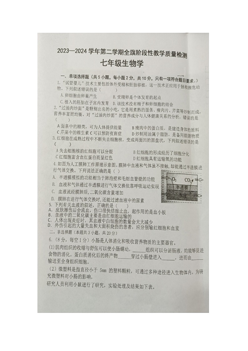 内蒙古杭锦后旗学2023-2024学年七年级下学期期中阶段性教学质量检测生物试题（图片版无答案）第1页
