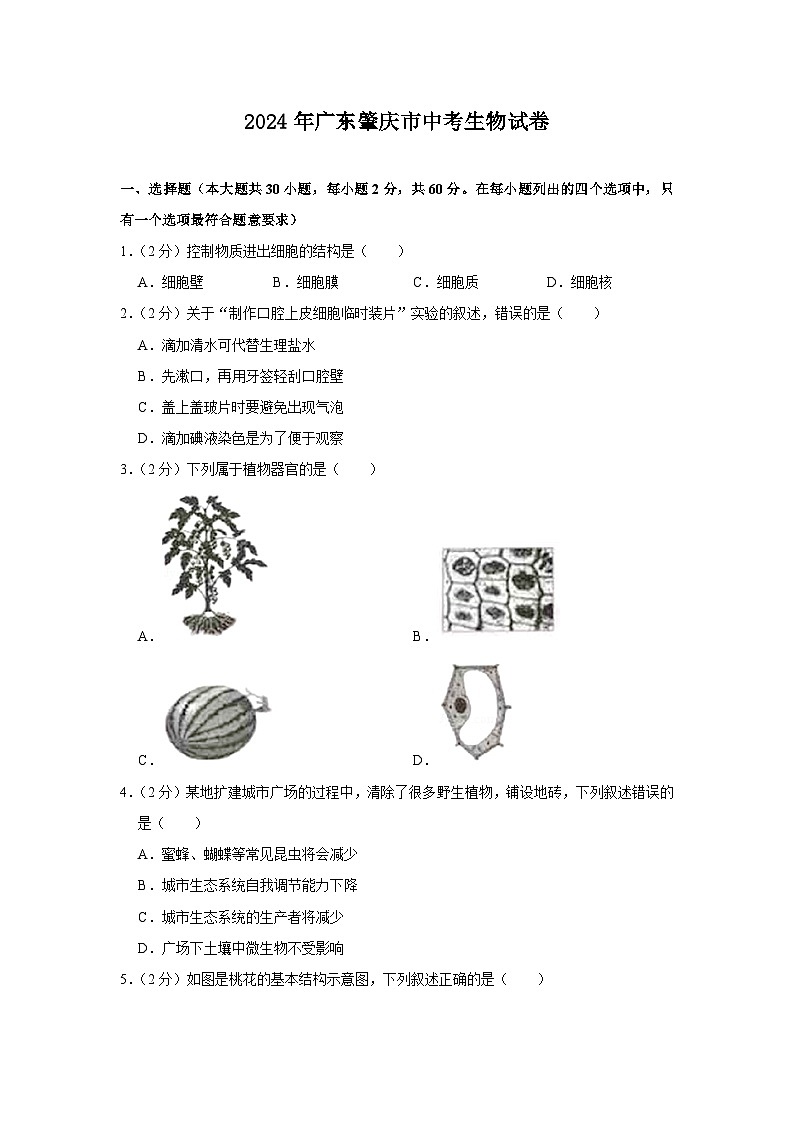 2024年广东肇庆市中考生物试卷（解析版）01
