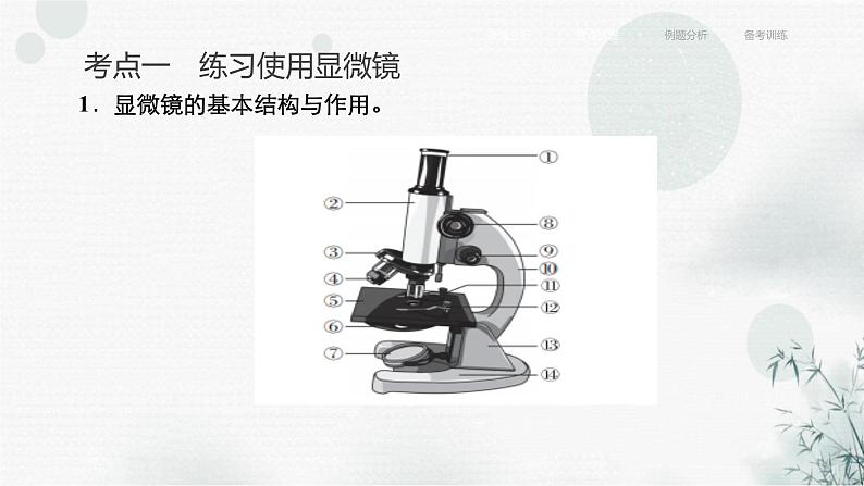 中考生物复习专题一生物体的结构层次第一章细胞是生命活动的基本单位课件第6页