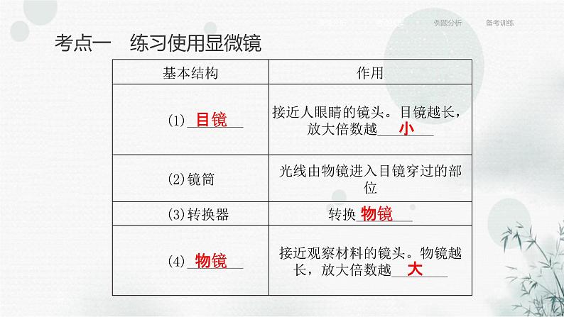 中考生物复习专题一生物体的结构层次第一章细胞是生命活动的基本单位课件第7页