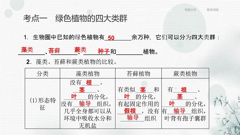 中考生物复习专题二生物的多样性第三章植物的主要类群课件第6页