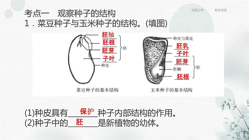 中考生物复习专题四植物的生活第八章被子植物的一生课件第6页