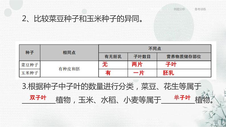 中考生物复习专题四植物的生活第八章被子植物的一生课件第7页