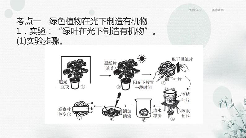 中考生物复习专题四植物的生活第十章绿色植物是生物圈中有机物的制造者课件06