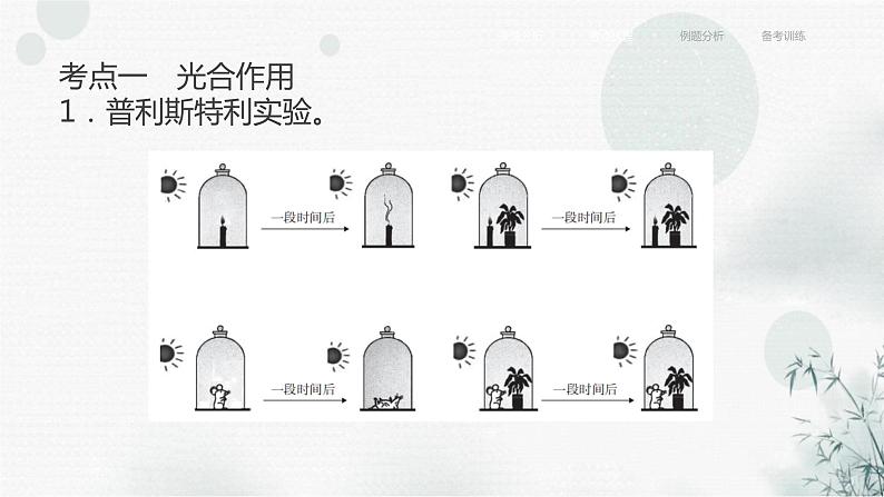 中考生物复习专题四植物的生活第十一章绿色植物与生物圈中的碳－氧平衡课件06