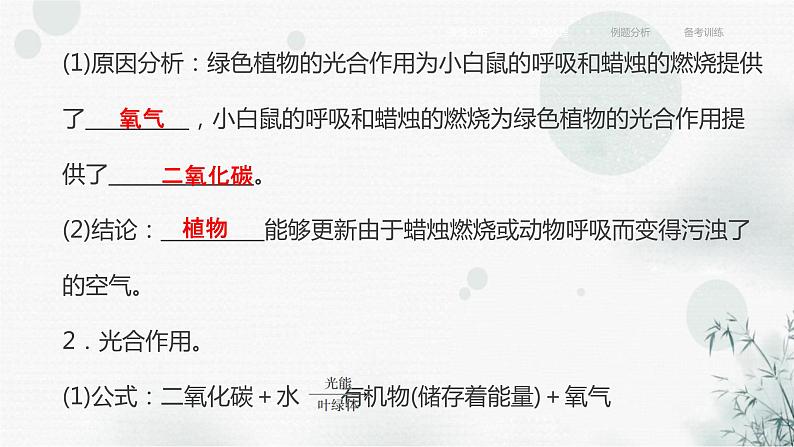 中考生物复习专题四植物的生活第十一章绿色植物与生物圈中的碳－氧平衡课件07