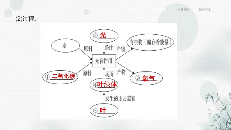 中考生物复习专题四植物的生活第十一章绿色植物与生物圈中的碳－氧平衡课件08