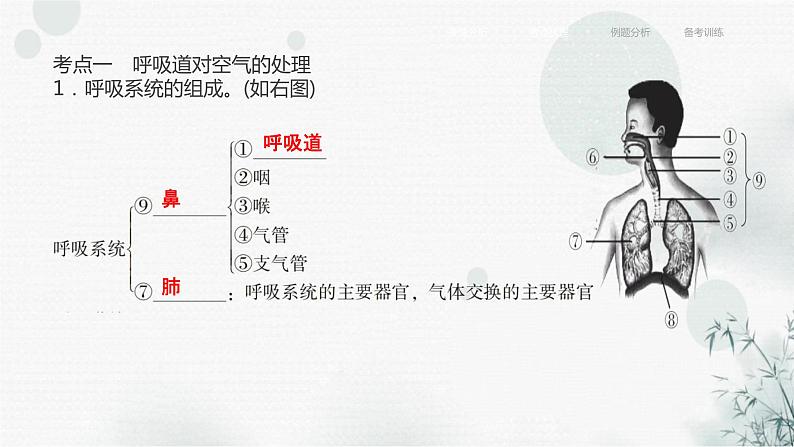 中考生物复习专题五人体生理与健康第十三章人体的呼吸课件06