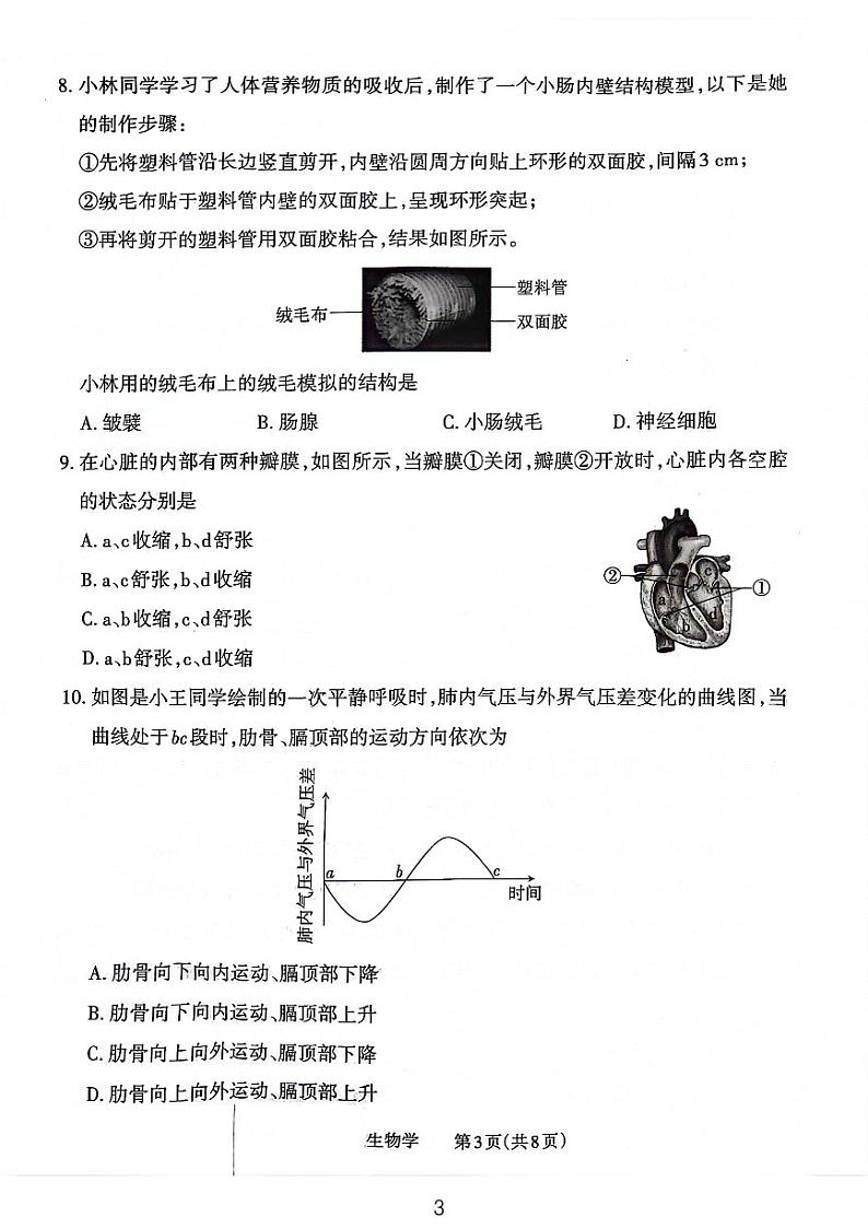 山西省大同市2023-2024学年八年级下学期4月期中生物试题第3页