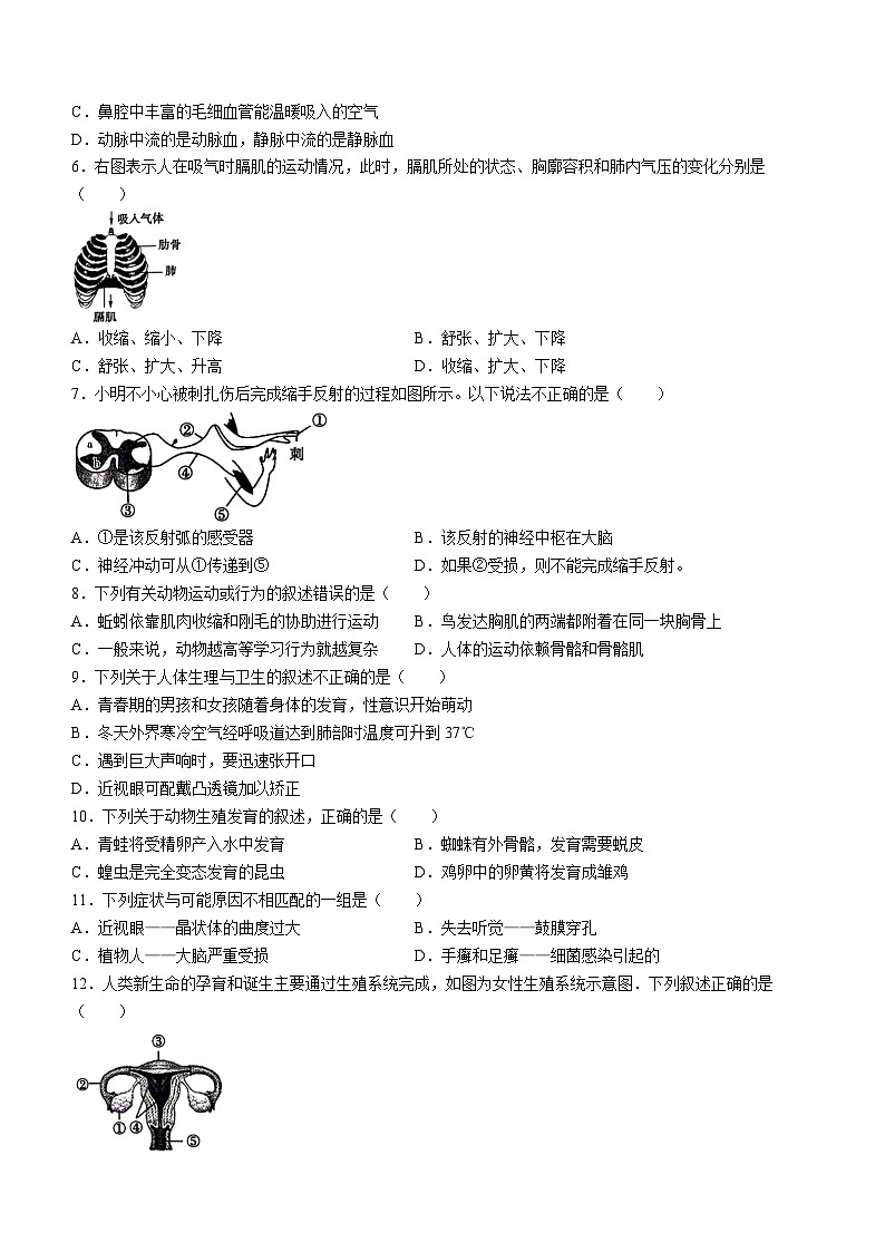 河南省新乡市辉县市2023-2024学年八年级下学期生物期中试卷+02