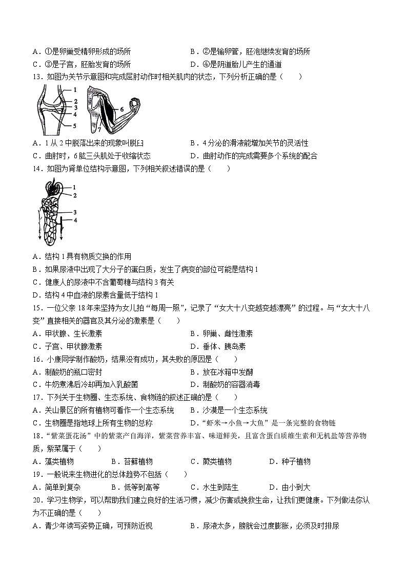 河南省新乡市辉县市2023-2024学年八年级下学期生物期中试卷+03