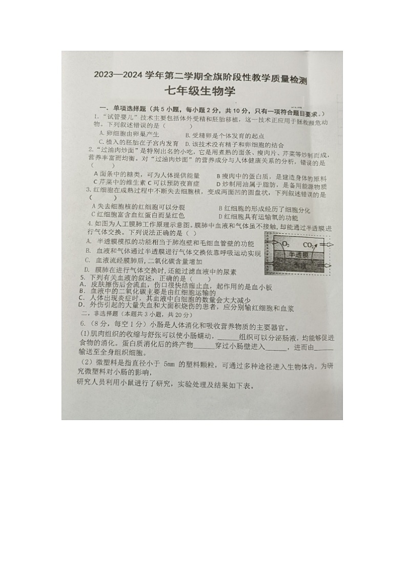内蒙古杭锦后旗学2023-2024学年七年级下学期期中阶段性教学质量检测生物试题01