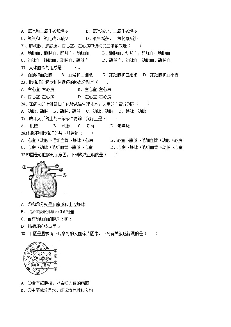 四川省广安市岳池县2023-2024学年七年级下学期期中检测生物试题03