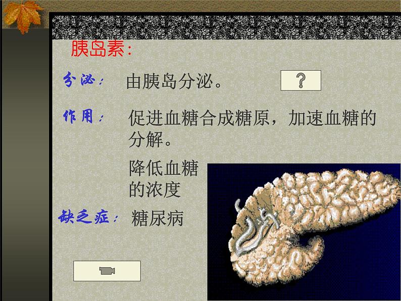 4.6.4激素调节课件2023-2024学年人教版生物七年级下册第5页