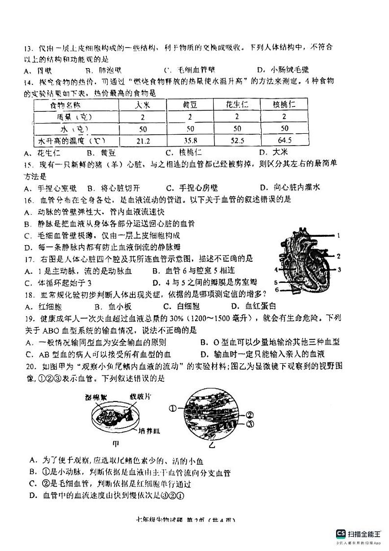 山东省济宁市邹城市2023-2024学年七年级下学期4月期中生物试题第2页