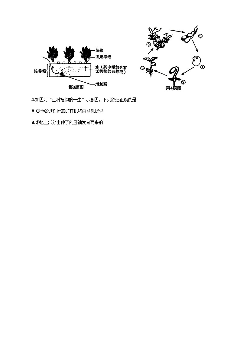 河南省新乡市辉县市2023-2024学年八年级下学期期中考试生物试卷02