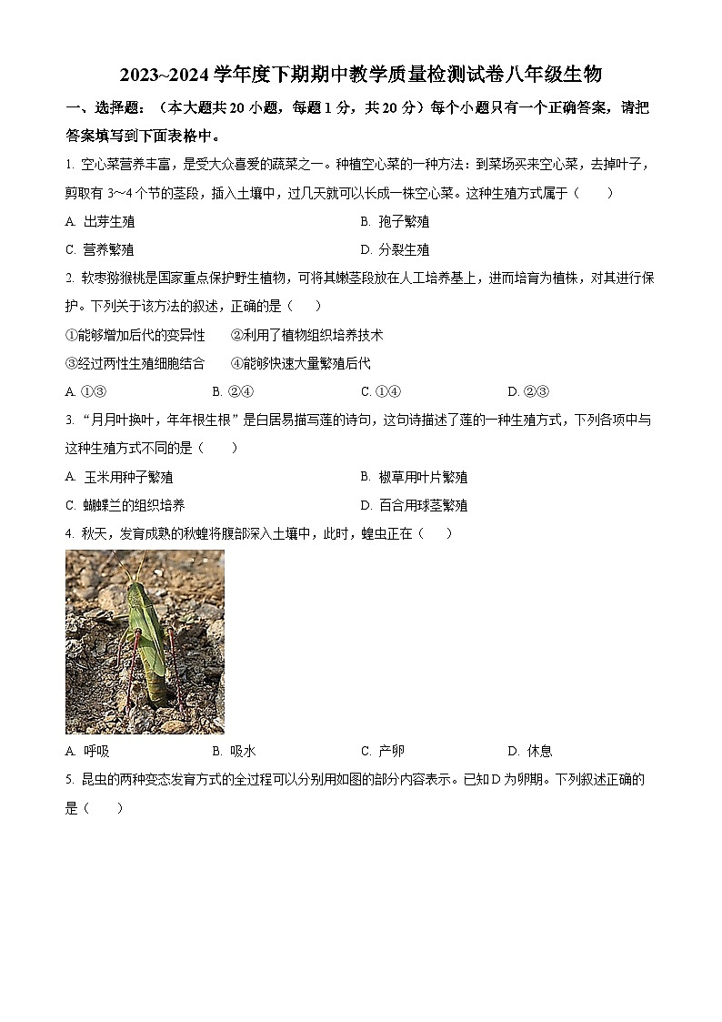 河南省漯河市郾城区2023-2024学年八年级下学期期中生物试题（原卷版）第1页