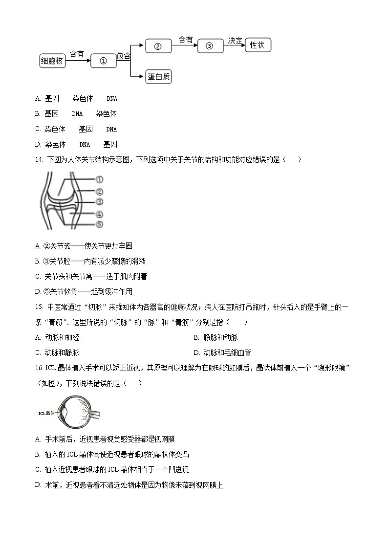 2024年江苏省泰州市海陵区中考一模生物试题（原卷版）第3页