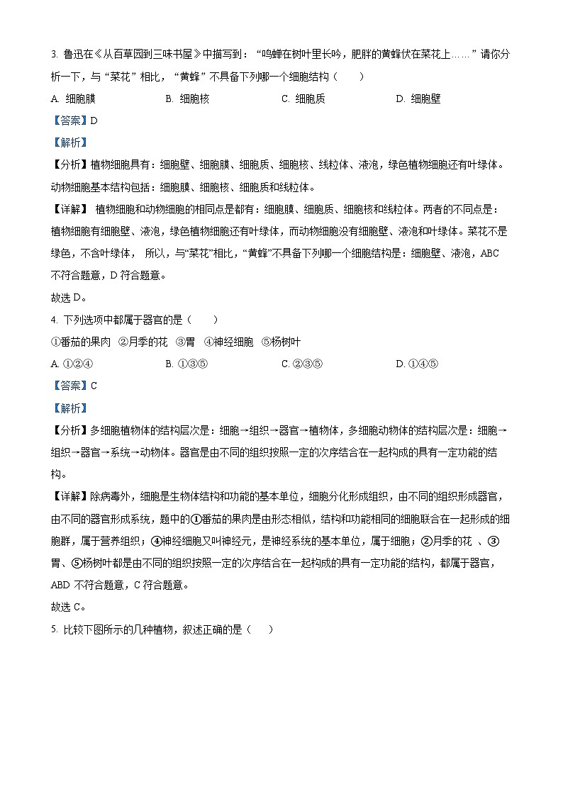 2024年云南省昭通市昭阳区中考一模生物试题（解析版）第2页