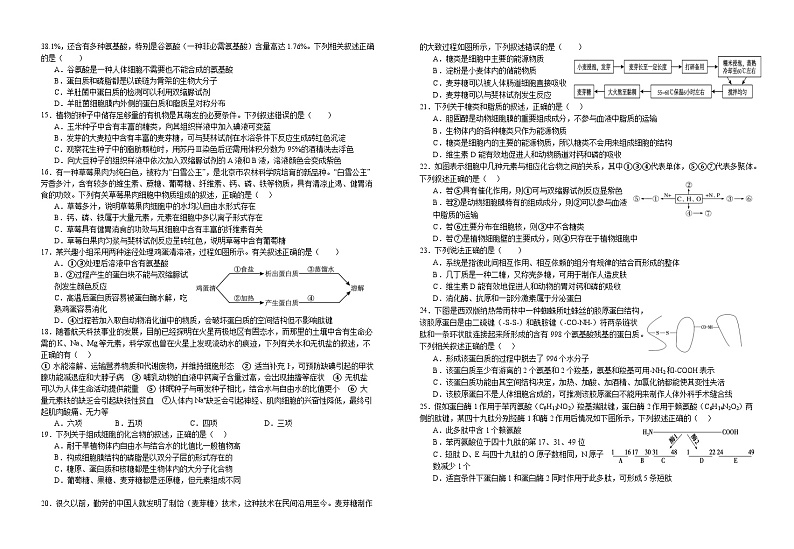 江西省宜春市宜丰县宜丰中学2023-2024学年九年级下学期4月期中生物试题第2页