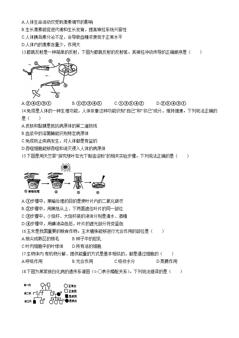 2024年河北省石家庄市初中毕业班中考生物一模卷03