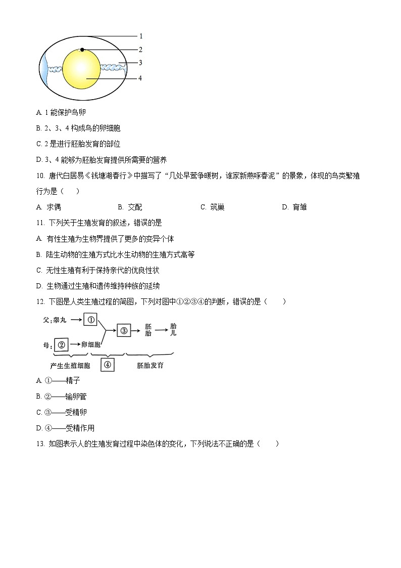2024年山东省济南市第一中学中考一模生物试题（原卷版+解析版）03