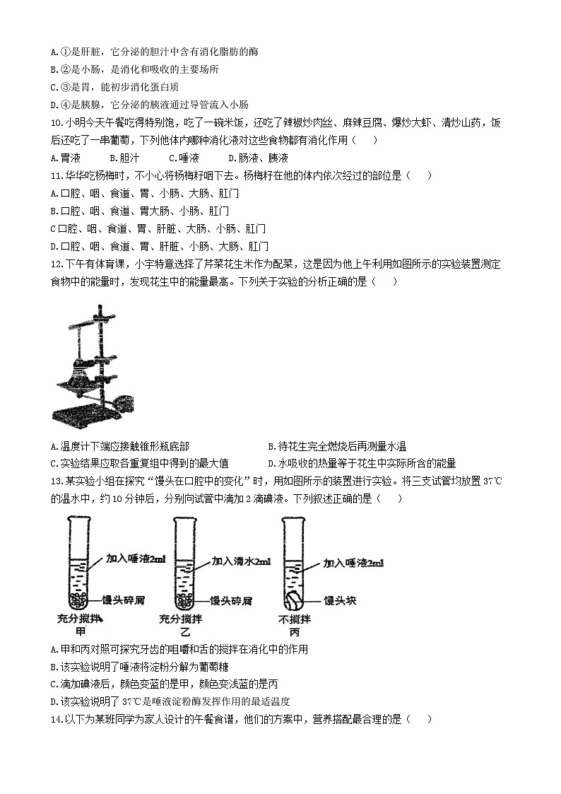 广东省江门市蓬江区省实学校2023-2024学年七年级下学期期中考试生物试卷(无答案)第3页