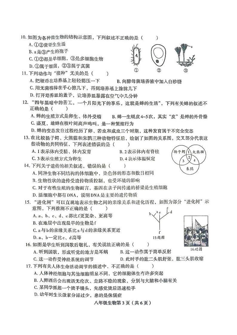 河南省周口市太康县2023-2024学年八年级下学期4月期中生物试题03