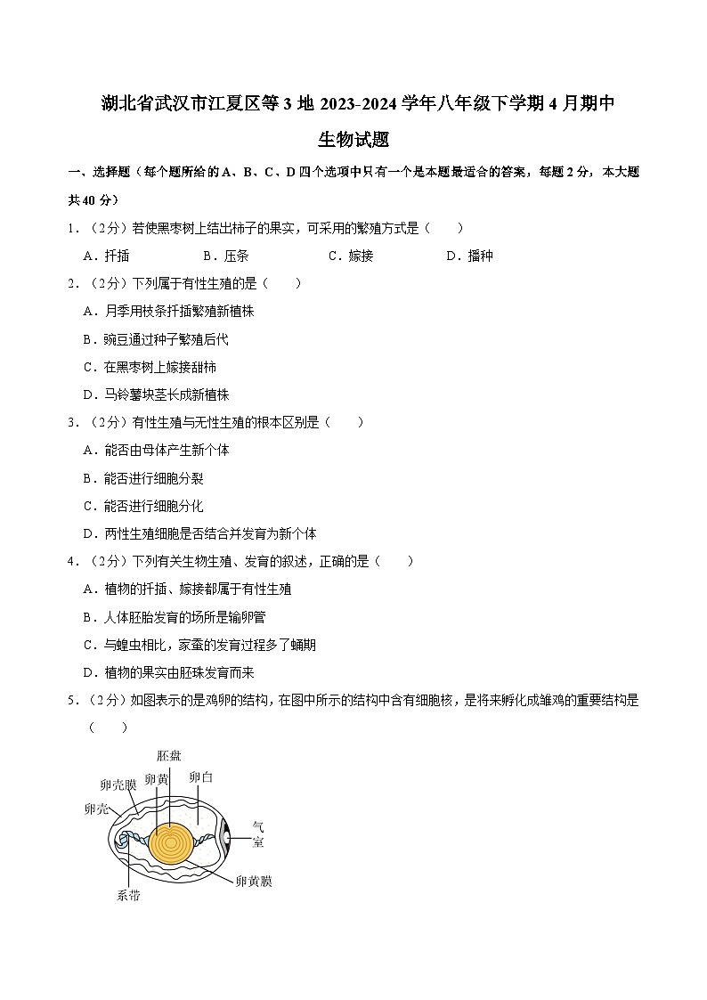 湖北省武汉市江夏区等3地2023-2024学年八年级下学期4月期中生物试题第1页
