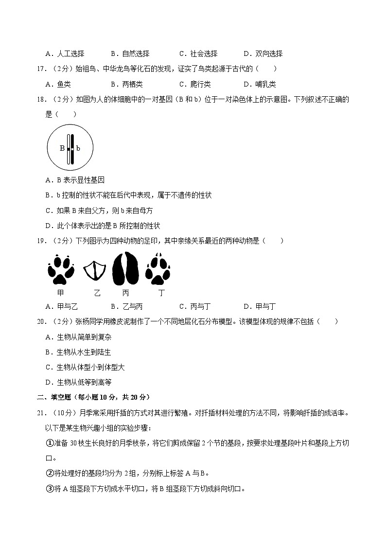 湖北省武汉市江夏区等3地2023-2024学年八年级下学期4月期中生物试题第3页
