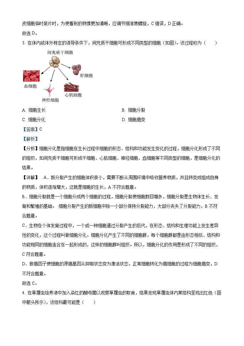 2024年北京市海淀区中考一模生物试题（解析版）第2页