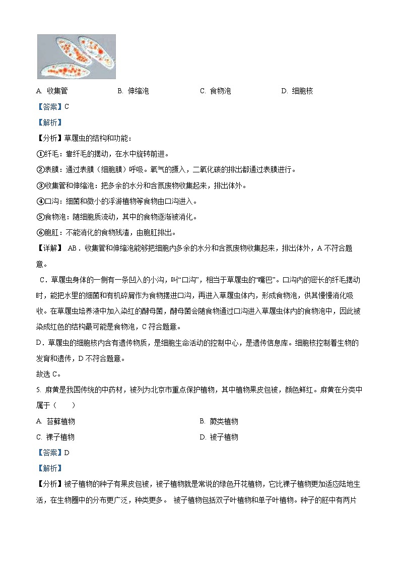 2024年北京市海淀区中考一模生物试题（解析版）第3页