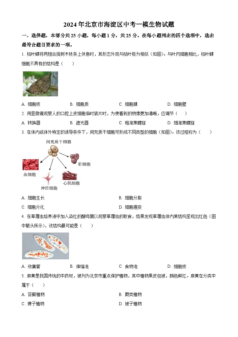 2024年北京市海淀区中考一模生物试题（原卷版）第1页