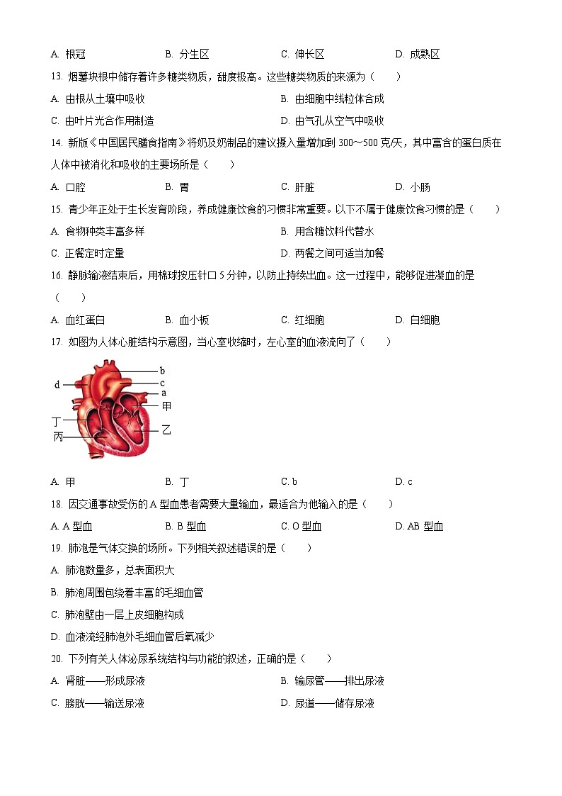 2024年北京市海淀区中考一模生物试题（原卷版）第3页