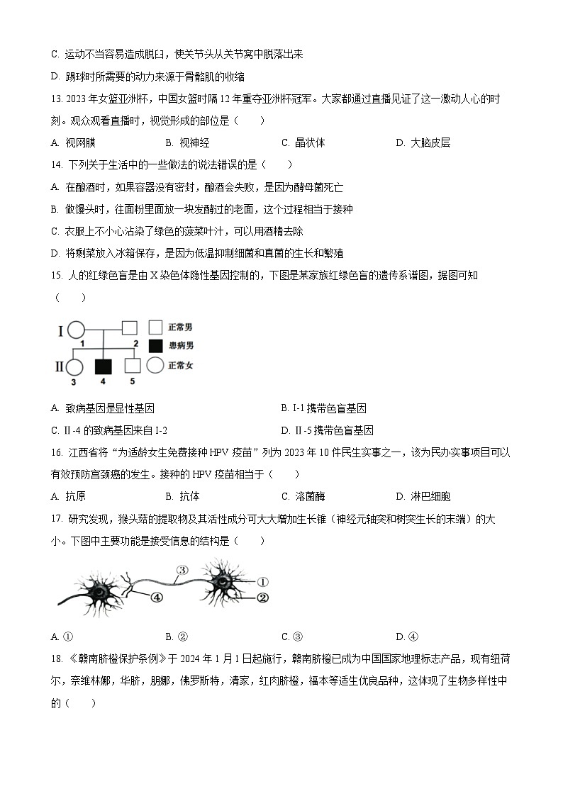 2024年江西省赣州市寻乌县中考一模生物试题（原卷版+解析版）03