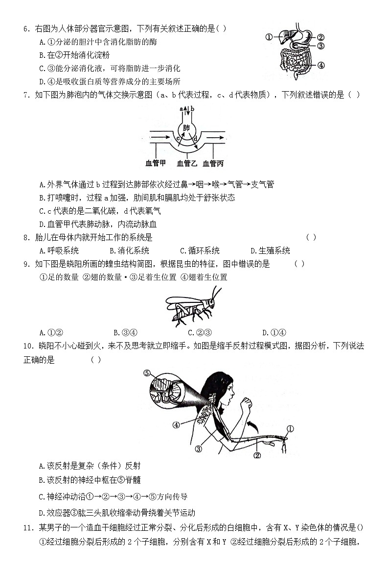 2024年山东省泰安市八年级初中学业水平考试生物模拟试题02