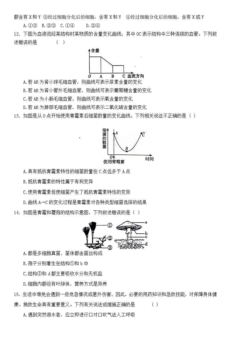 2024年山东省泰安市八年级初中学业水平考试生物模拟试题03
