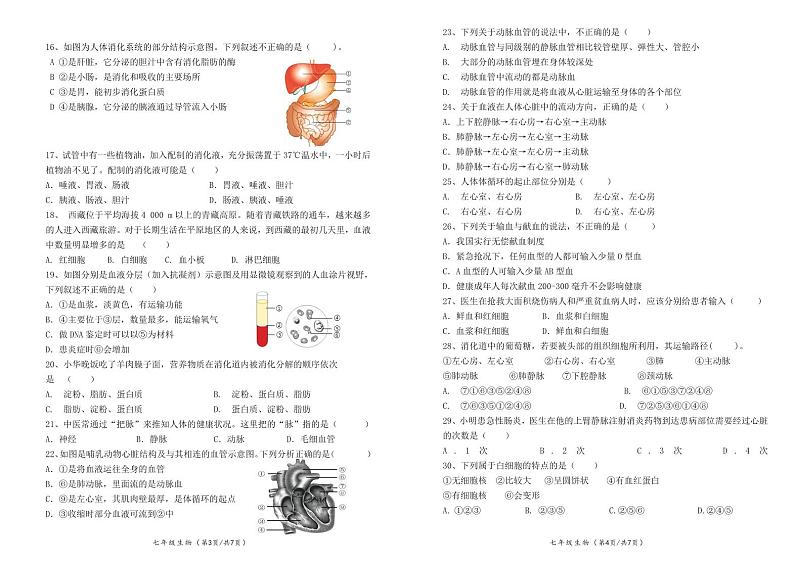 广东省肇庆市德庆县德庆中学教育集团2023-2024学年七年级下学期4月期中生物试题02