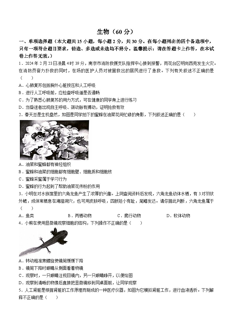 2024年广西桂林市中考生物一模适应性训练试卷01