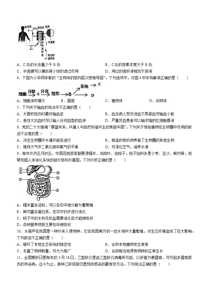 2024年广西桂林市中考生物一模适应性训练试卷02