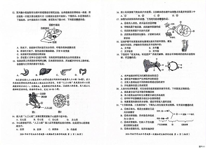 2024年揭阳市初中学业水平考试第一次模拟考试生物科试题及答案02