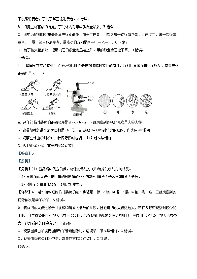 2024年湖南省娄底市娄星区八年级中考一模生物试题（解析版）第3页